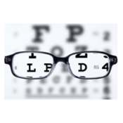 Reading Glasses